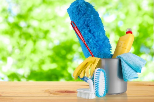 Professional carpet cleaning equipment in use during a service appointment