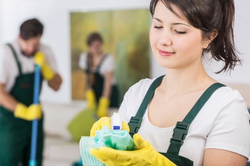 Upholstery and carpet stain cleaning in St James