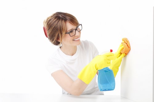 Cleaning process with upholstery and carpet care products ready for use