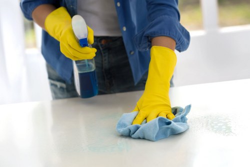 Deep cleaning treatment for pet urine odour on upholstery in St James